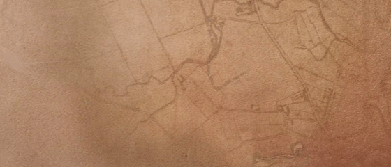 Décadas de experiencia