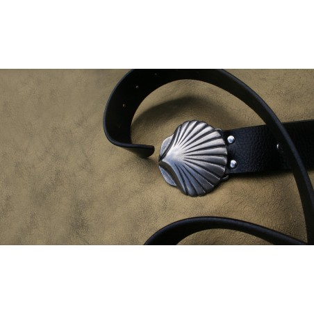 Cinturón Camino de Santiago