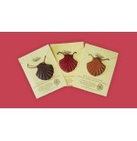 Colgante Concha de Cuero